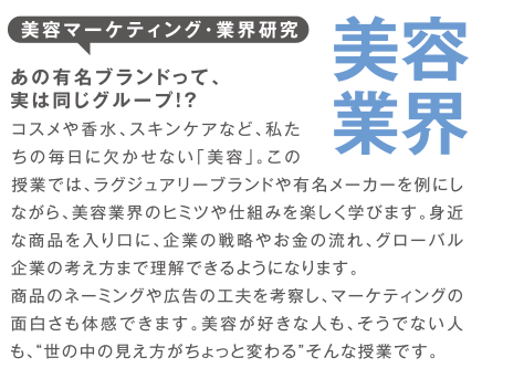 美容マーケティング・業界研究