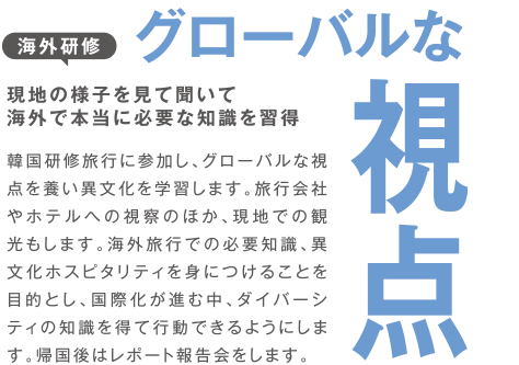 海外研修